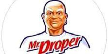 Picture of Mr. Proper